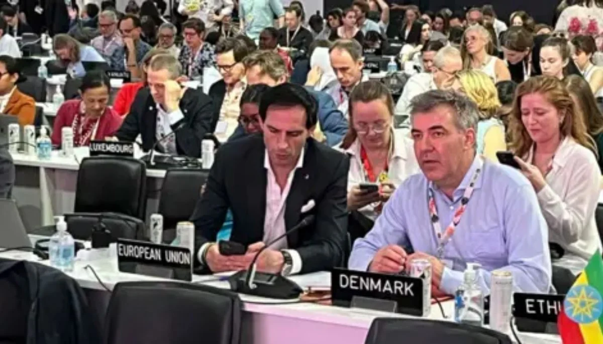 COP30: Five key insights from climate summit