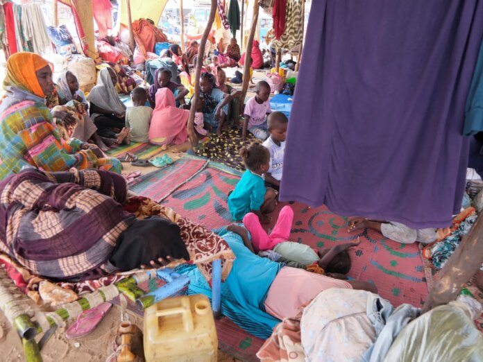 I volunteered at camp for the displaced from el-Fasher. Here is what I saw | Opinions