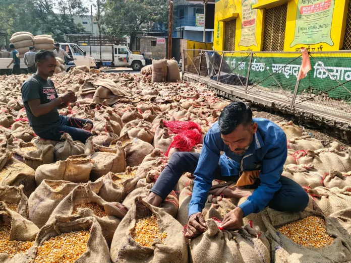 US wants to sell GM soya and corn to India, farmers wary | Trade War