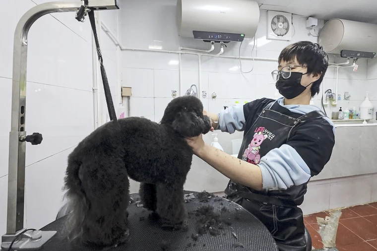 A pet grooming salon in Beijing on Wednesday.