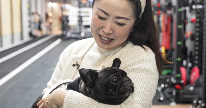 China sees surge in pet ownership as population shrinks