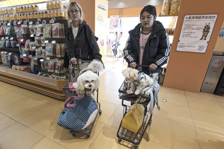 Customers pushing their dogs in shopping carts at a pet store in Beijing last week.