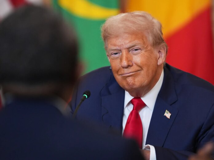Trump is the ‘elephant in the room’ as the African Union holds new summit | African Union News