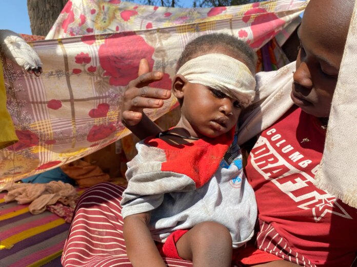 UN accuses paramilitary RSF of committing war crimes in Sudan’s el-Fasher | Crimes Against Humanity News