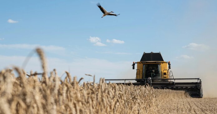 'Stolen' grain shipments spark furious clash between Ukraine and Israel