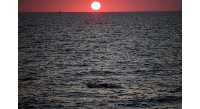 Libyan Coast Guard recovers 17 bodies, rescues 7 migrants off Tobruk