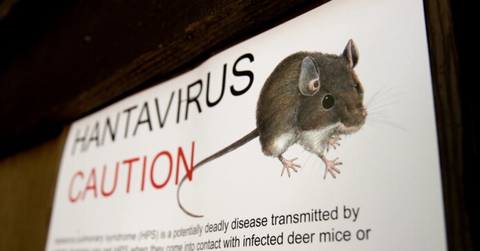 What to know about hantavirus