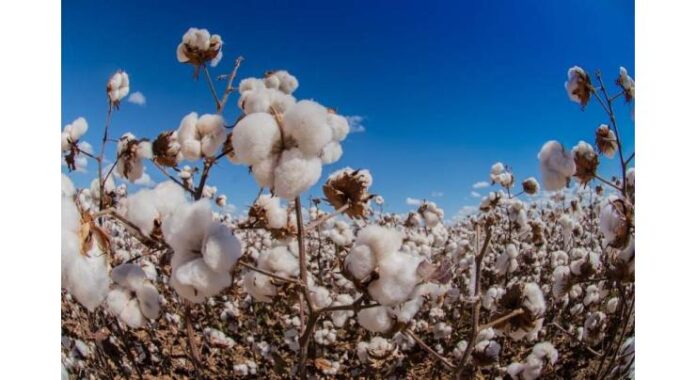 Pakistan Cotton Ginners Association (PCGA) 62nd annual general meeting held