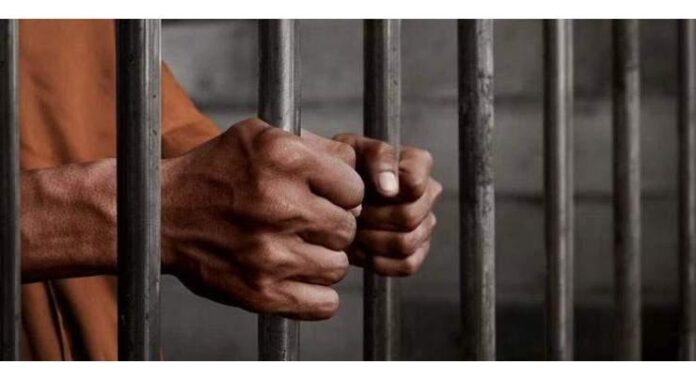 Drug paddler gets 9-year imprisonment