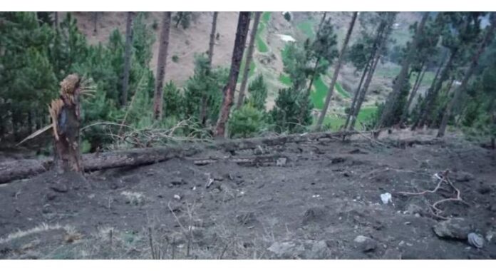 IWT violations by India put 20 common tree species under heightening threat of extinction in AJK, KP