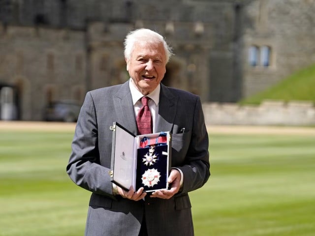 Sir David Attenborough poses for a picture after being appointed as Knight Grand Cross of the Order of St. Michael and St. George, following an investiture ceremony at Windsor Castle, Windsor, Britain June 8, 2022. Andrew Matthews/Pool via REUTERS/File Photo Purchase Licensing Rights