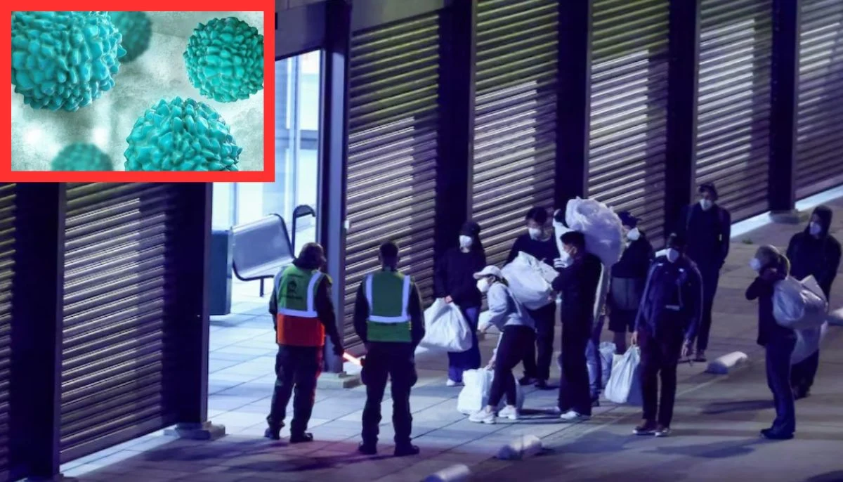 Hantavirus: Dutch hospital quarantines 12 staff members after protocol breach