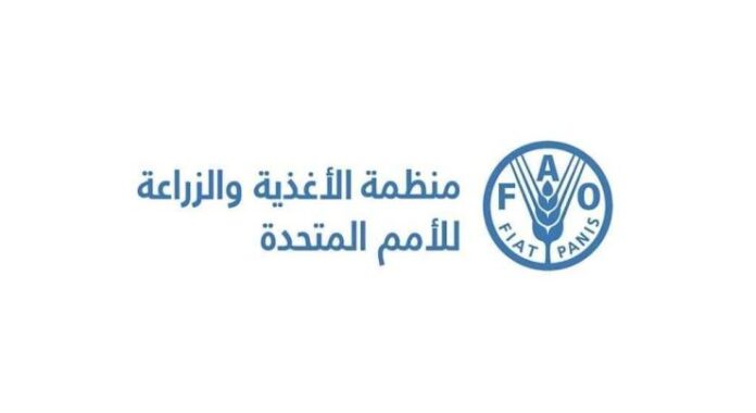 FAO: Global food prices continue upward trend in April