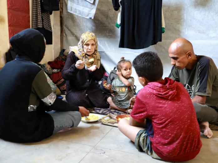MSF accuses Israel of manufacturing a malnutrition crisis in Gaza | Israel-Palestine conflict News