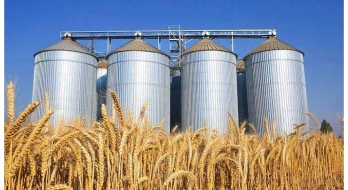 KP Govt starts releasing 2000-ton wheat on daily basis: Special Assistant to KP on Food Dr Muhammad Israr Khan