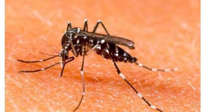 9 detained as AC Saddar cracks down on dengue SOP violations