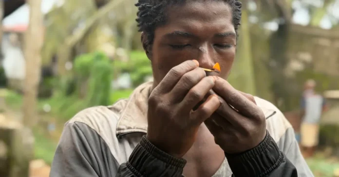 Liberia’s kush crisis: The hidden trade behind a generation at risk | News