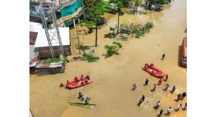 Assam flood death toll rises to 82 as over 1.1 million people affected