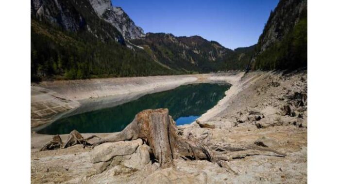 Austrian agriculture suffers nearly €1 billion in drought damage