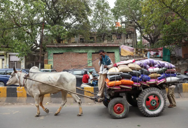 A trader transports sacks of rice through a market in New Delhi