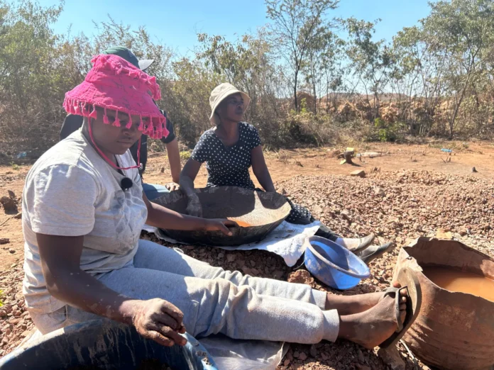 Zimbabwe’s land reform enters a new chapter | News