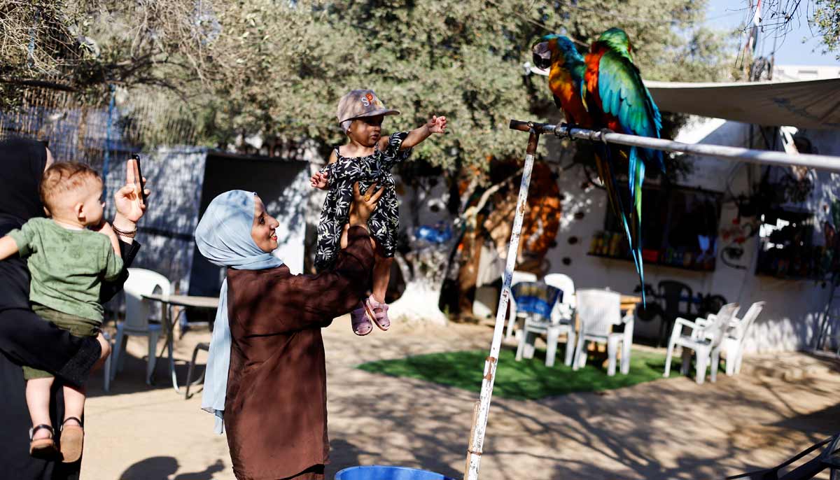 A Palestinian family interacts with macaws during a visit to a zoo in Nuseirat, in the central Gaza Strip, August 6, 2026.— Reuters