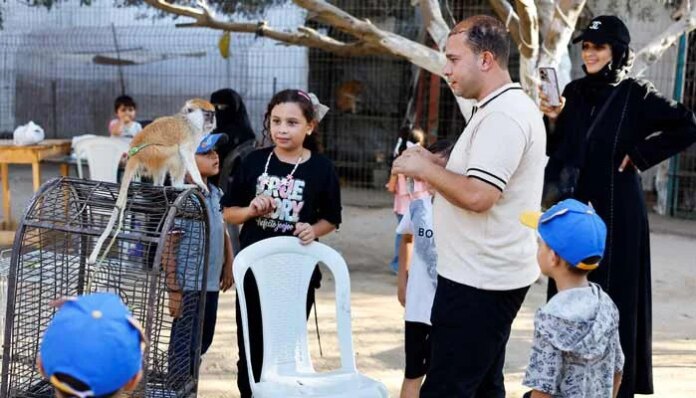 At a Gaza zoo, war takes its toll on the animals