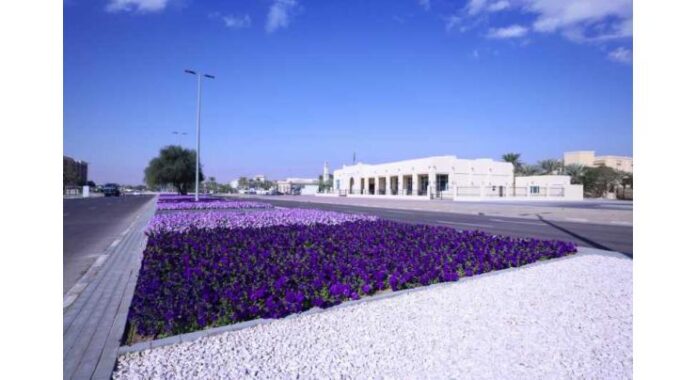 Al Ain showcases 99 million year-round blooms in evolving tapestry