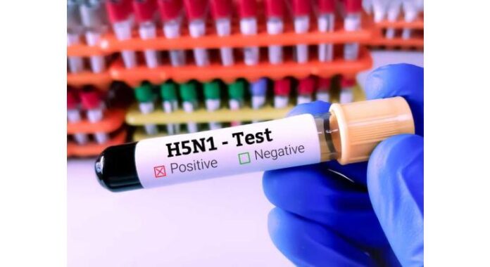 Australia confirms first H5N1 infection in native mammal