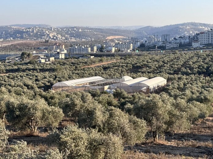 Palestinian farmers rebuild what Israeli settlers destroy in West Bank | Israel-Palestine conflict News