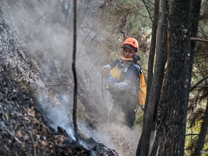 Wildfires burn across Indonesia as officials cite El Nino as a cause | Climate News