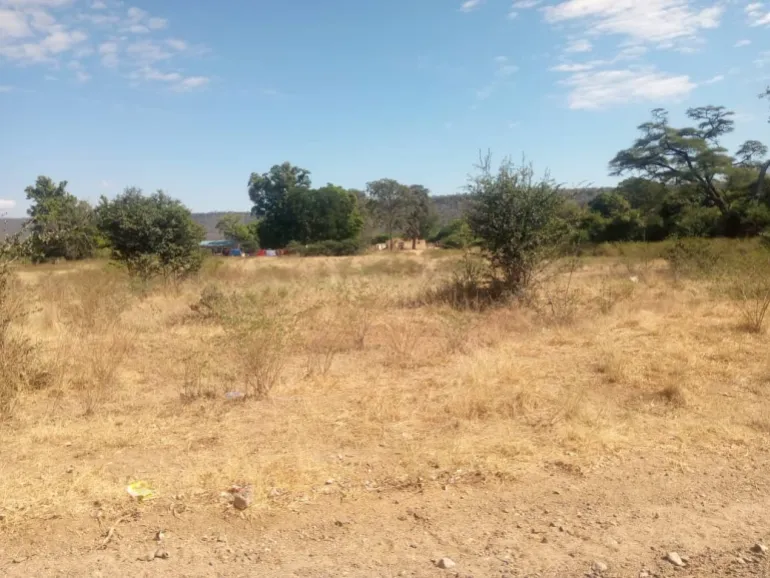 A section of former commercial farmland in Matabeleland North, Zimbabwe, that has remained underused since the redistribution of agricultural land [Calvin Manika/Al Jazeera]