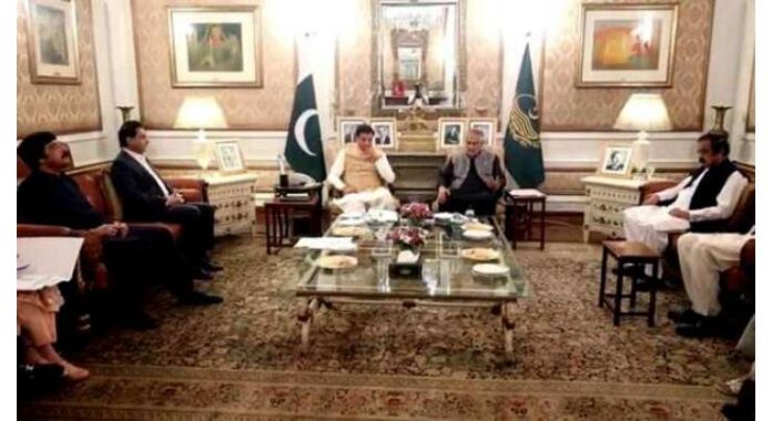 After Consensus with PML-N, PPP Begins Work on Development Budget Release, Committee Nominations