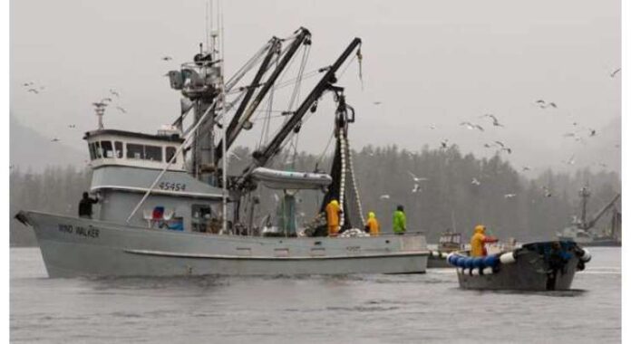 Alaska: Derek Parker Miraculously Survives Three Days in Open Sea After Boat Capsizes
