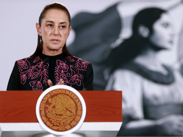 Mexico seeks evidence of border shooting that prompted US troop deployment | Military News